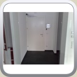 1.Dog chewed walls can be repaired..