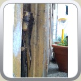 2.with broken backs..